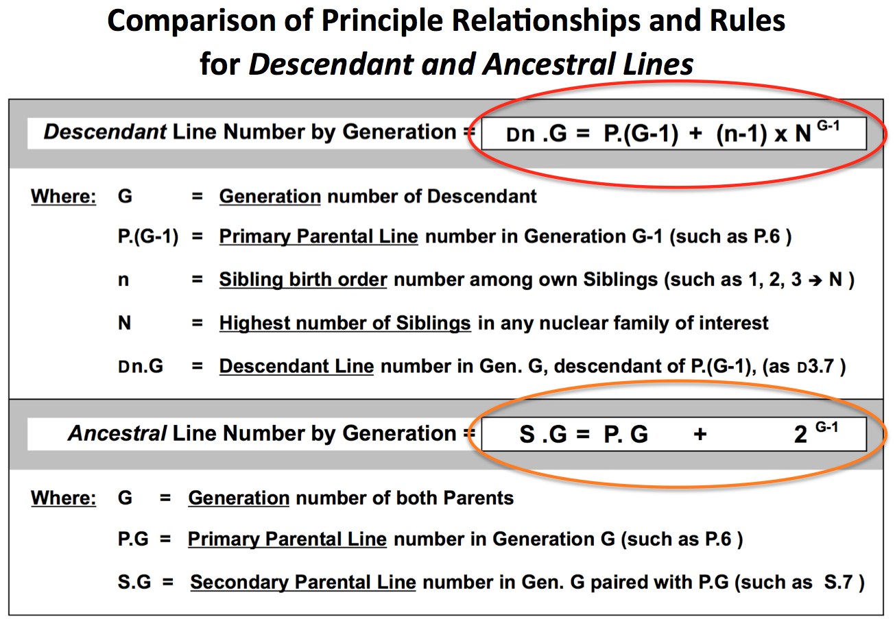 ComparisonOfAncestralAndDescendantRules