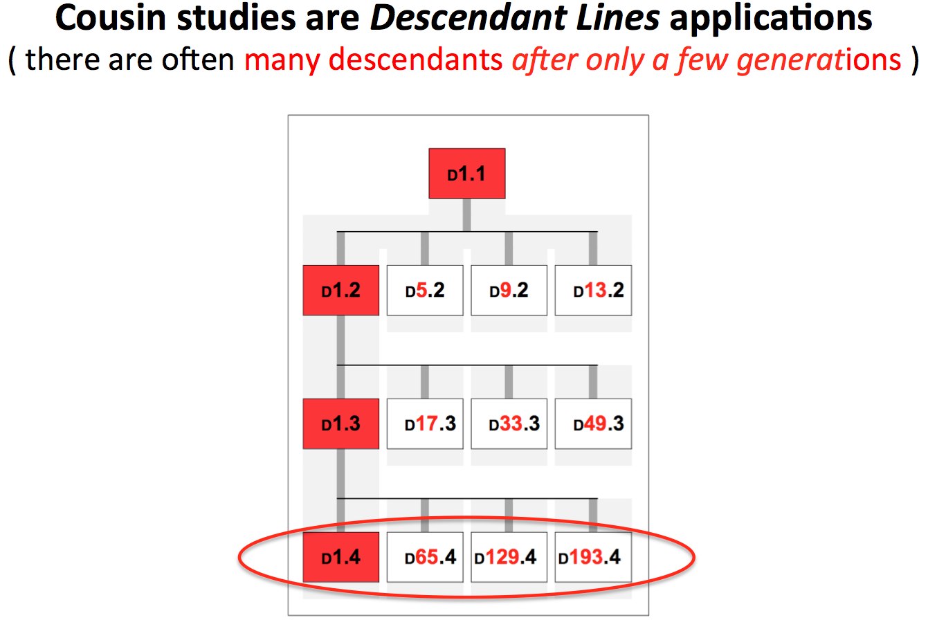 CousinStudiesAreDescendantLinesApps