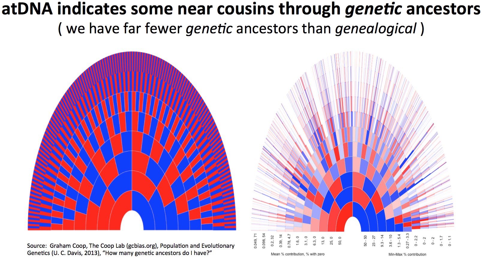 atDNAIndicatesThroughGeneticAncestors